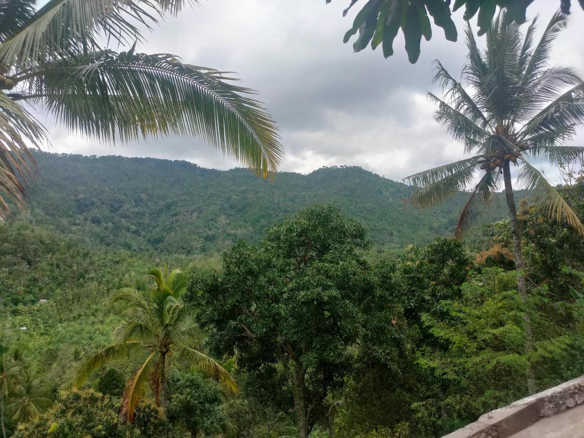 Villa Ling & Louie'S Mountain Mayong Exterior foto