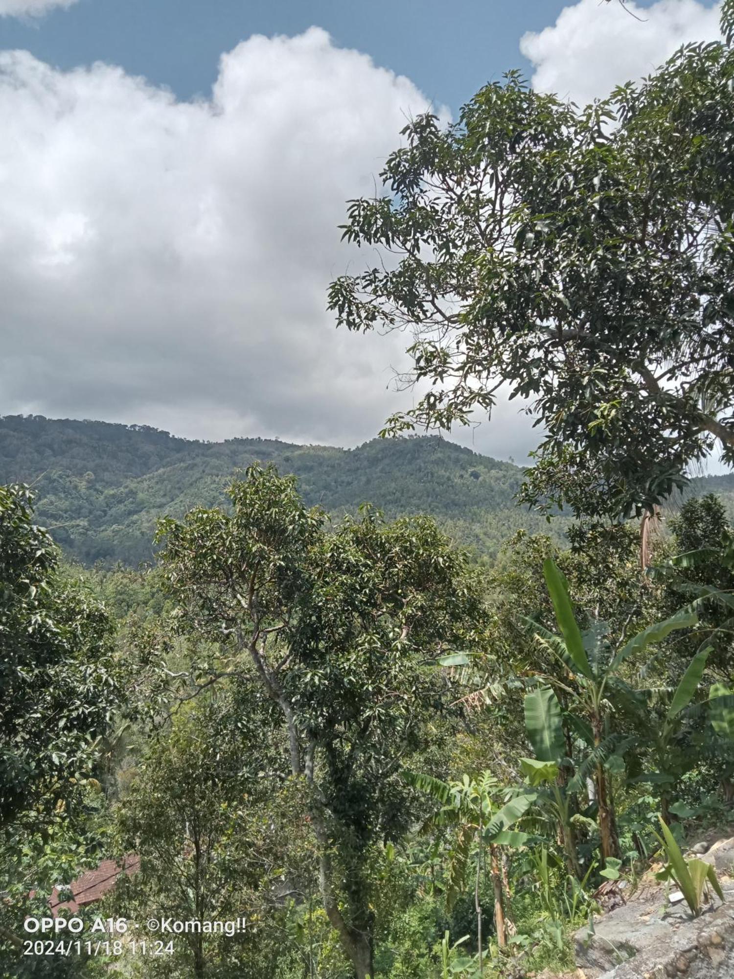 Villa Ling & Louie'S Mountain Mayong Exterior foto